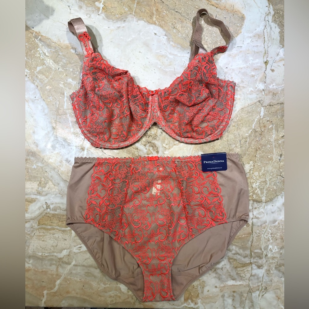 Prima Donna Soirée Full Cup Bra 36F (gently used) and XL Full Brief (NWT)